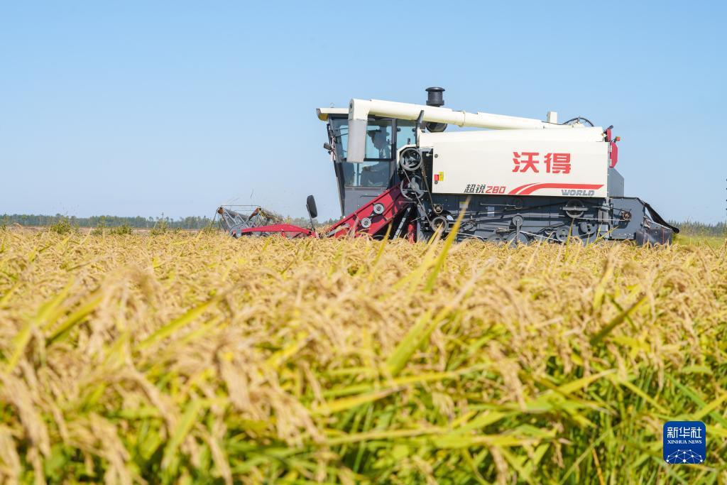 欢乐园游戏官网
